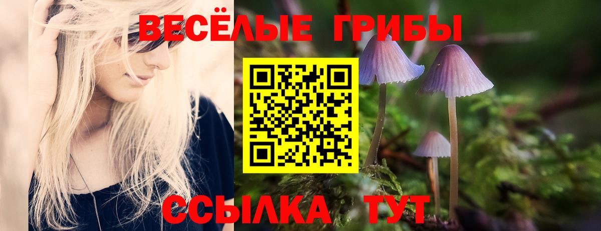 Метамфетамин Электрогорск