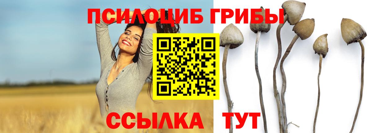 Псилоцибиновые грибы Magic Shrooms  Вход с VPN  продажа наркотиков  Электрогорск 